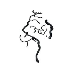 Vodní hadice motoru BRT